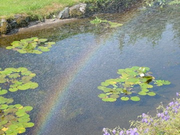 Wedding prep pond rainbow football 007